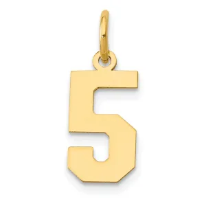 14k Yellow Gold Polished Finish Small Size Number 5 Charm Pendant