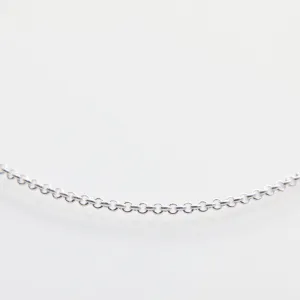 Rolo Style Silver Chain