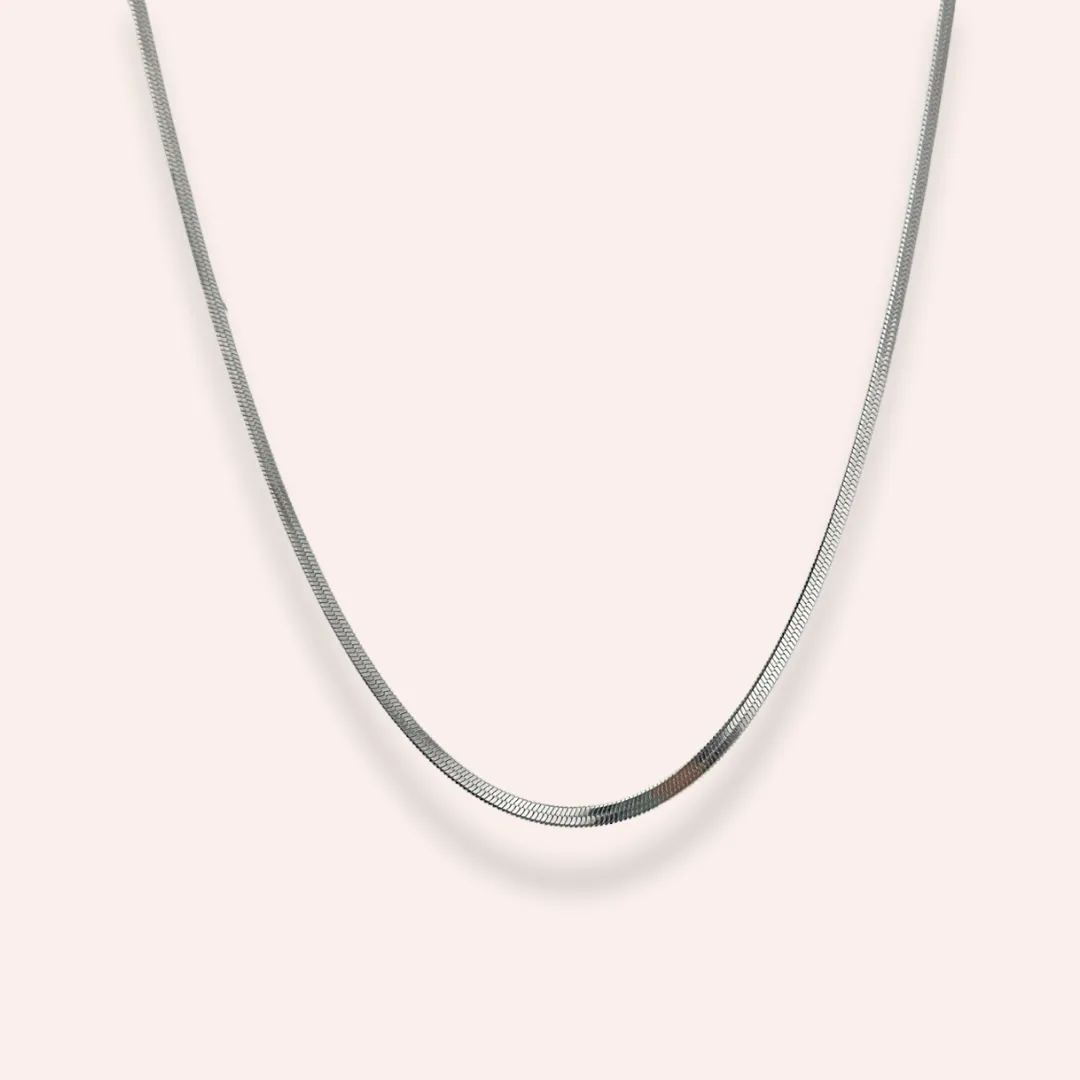 Silver Snake Necklace