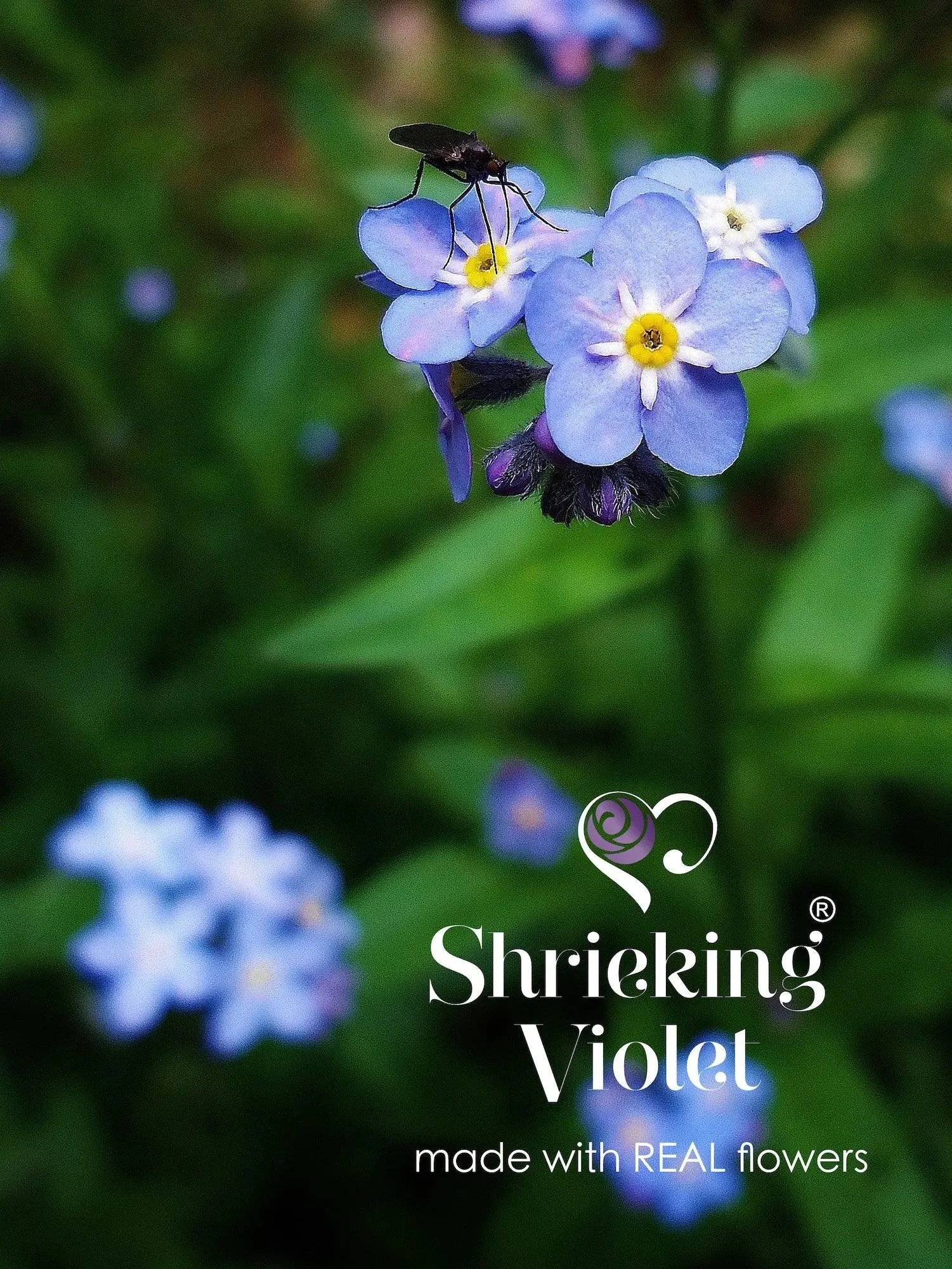 Turtle necklace by  Shrieking Violet® Sterling silver turtle pendant full of real forget-me-nots. Handmade jewellery with real flowers.